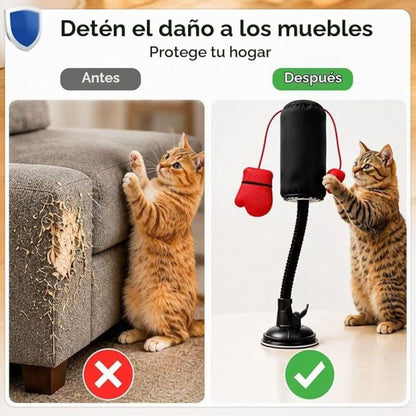 MiauBox Juego de Boxeo para Gatos Reforzado