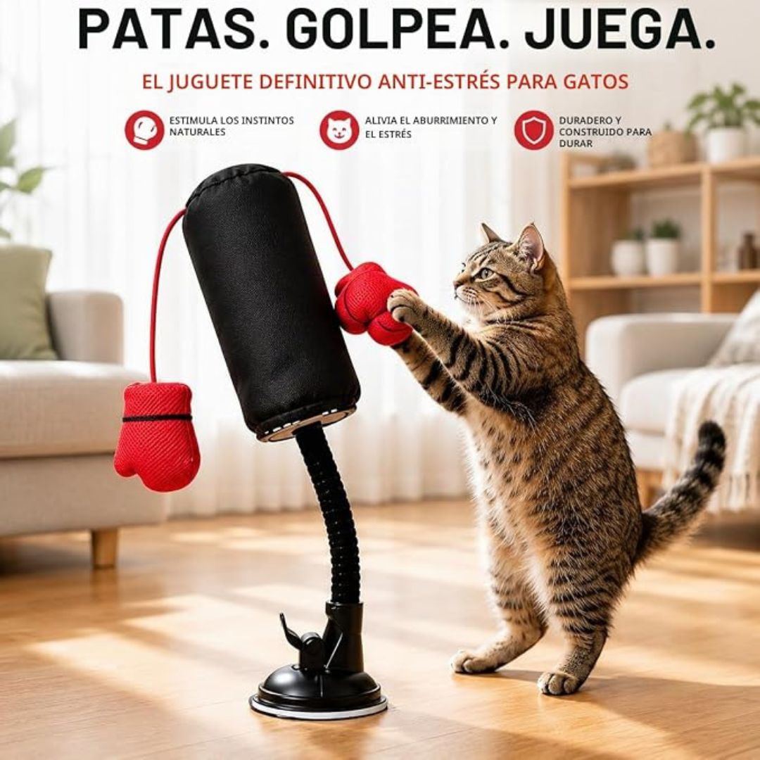 MiauBox Juego de Boxeo para Gatos Reforzado