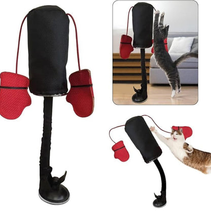 MiauBox Juego de Boxeo para Gatos Reforzado